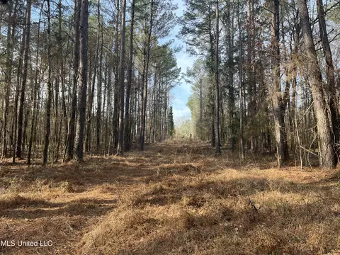 Barnes Road, Florence, MS 39073 photo 26