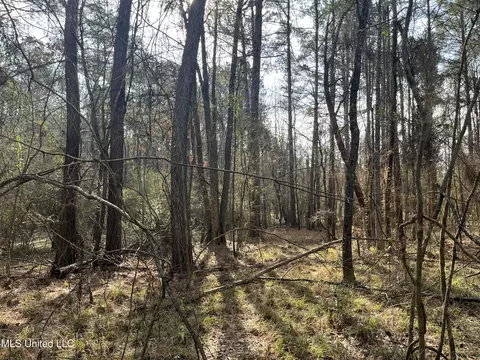Barnes Road, Florence, MS 39073 photo 27