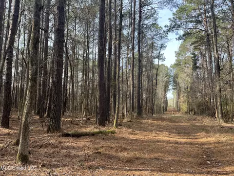 Barnes Road, Florence, MS 39073 photo 20