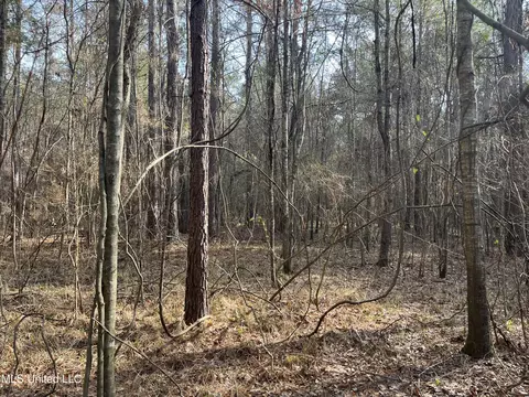 Barnes Road, Florence, MS 39073 photo 31