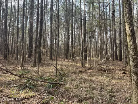 Barnes Road, Florence, MS 39073 photo 16