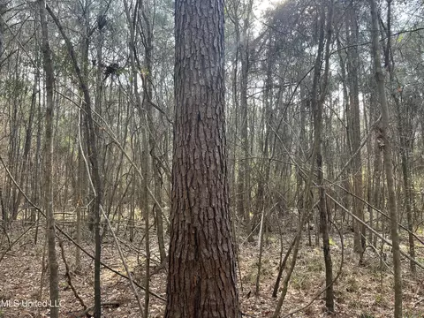 Barnes Road, Florence, MS 39073 photo 29