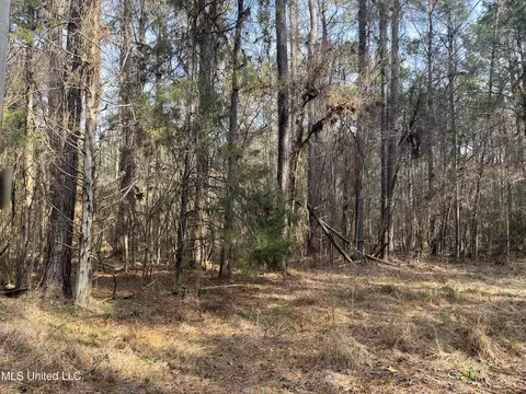Barnes Road, Florence, MS 39073 photo 24