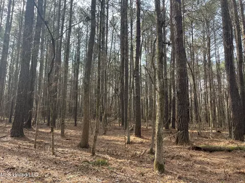 Barnes Road, Florence, MS 39073 photo 21