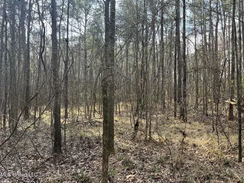 Barnes Road, Florence, MS 39073 photo 32