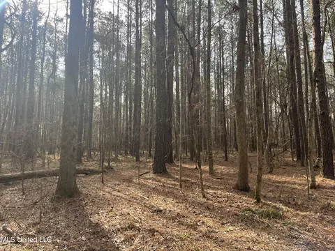 Barnes Road, Florence, MS 39073 photo 19