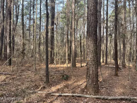 Barnes Road, Florence, MS 39073 photo 15
