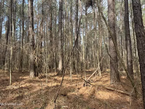 Barnes Road, Florence, MS 39073 photo 4