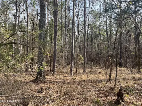 Barnes Road, Florence, MS 39073 photo 33