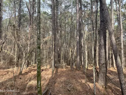 Barnes Road, Florence, MS 39073 photo 6