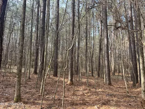 Barnes Road, Florence, MS 39073 photo 11