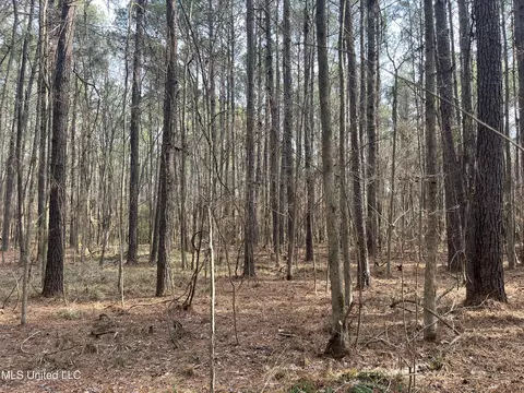 Barnes Road, Florence, MS 39073 photo 18