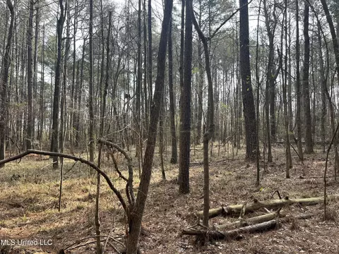 Barnes Road, Florence, MS 39073 photo 13