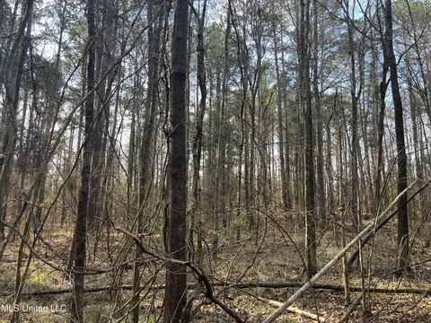 Barnes Road, Florence, MS 39073 photo 28