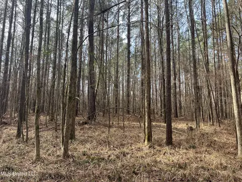 Barnes Road, Florence, MS 39073 photo 5