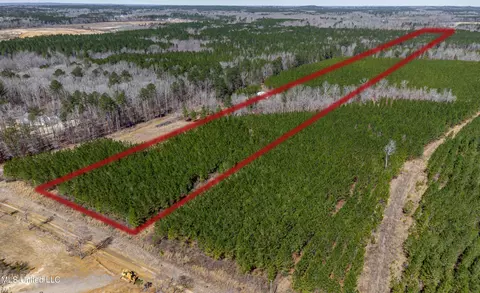 776 Mt Helm Rd, Brandon, MS 39047 photo 3