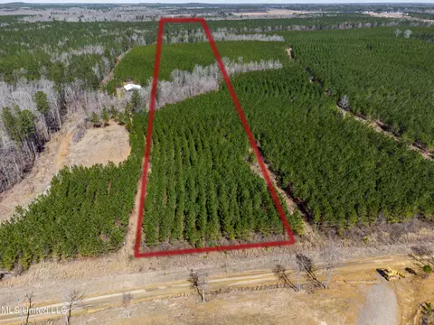 776 Mt Helm Rd, Brandon, MS 39047