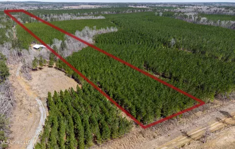 776 Mt Helm Rd, Brandon, MS 39047 photo 4