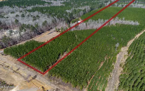 776 Mt Helm Rd, Brandon, MS 39047 photo 2