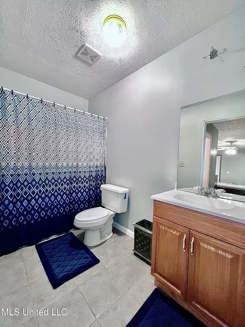 Bath - 3632 Tank Rd, Terry, MS 39170 photo 5 of 8