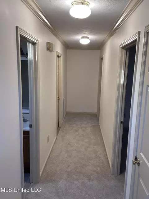 Entry Way - 200 N Shadow Lake Dr, Clinton, MS 39056 photo 1 of 1