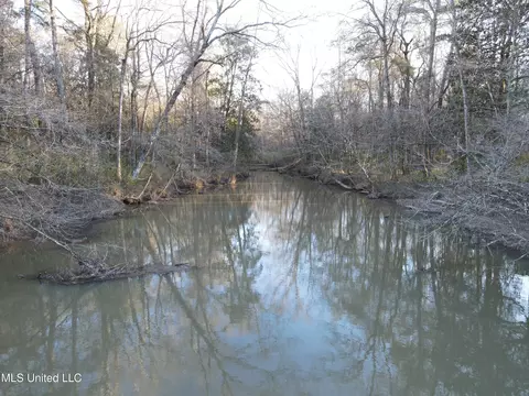 63 Clem Rd, Mount Olive, MS 39119 photo 49