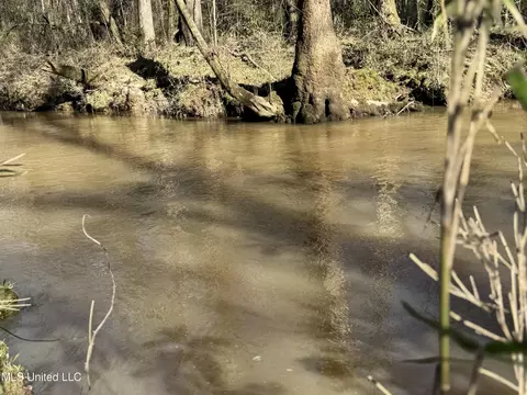 63 Clem Rd, Mount Olive, MS 39119 photo 15