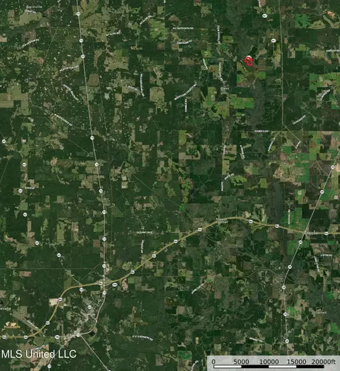 63 Clem Rd, Mount Olive, MS 39119 photo 3