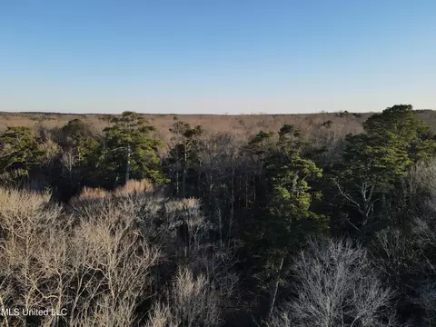 63 Clem Rd, Mount Olive, MS 39119 photo 2