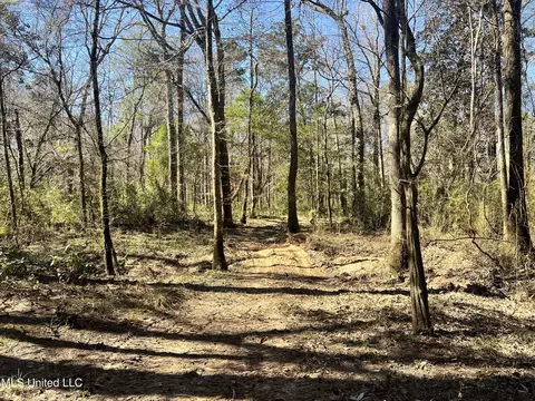 63 Clem Rd, Mount Olive, MS 39119 photo 9