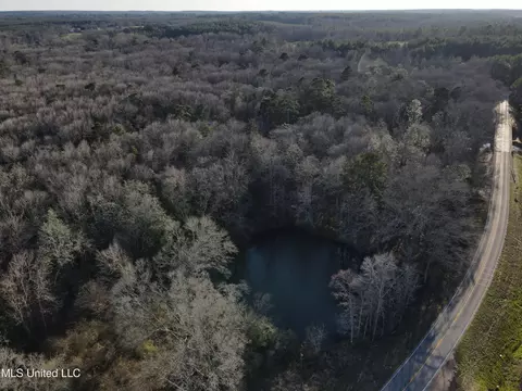 63 Clem Rd, Mount Olive, MS 39119 photo 30
