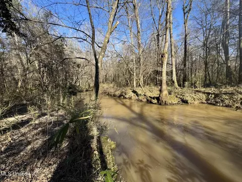 63 Clem Rd, Mount Olive, MS 39119 photo 16