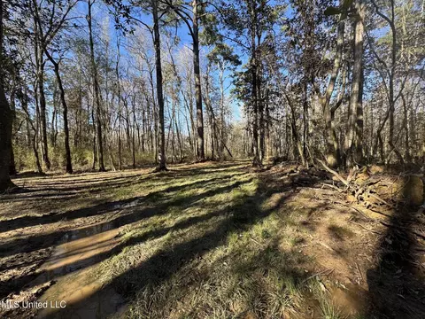 63 Clem Rd, Mount Olive, MS 39119 photo 24