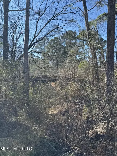 63 Clem Rd, Mount Olive, MS 39119 photo 14
