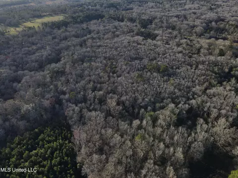 63 Clem Rd, Mount Olive, MS 39119 photo 37
