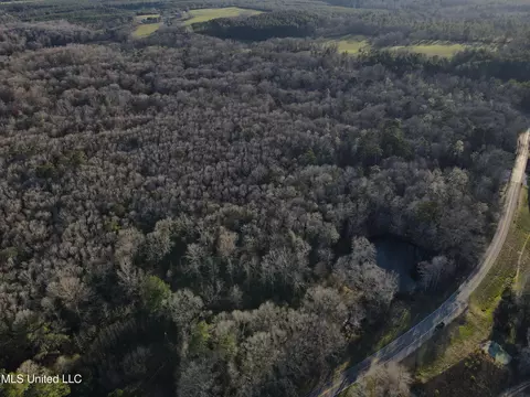 63 Clem Rd, Mount Olive, MS 39119 photo 38