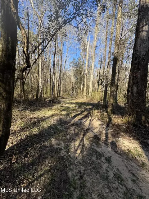 63 Clem Rd, Mount Olive, MS 39119 photo 21