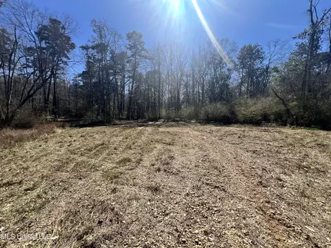 63 Clem Rd, Mount Olive, MS 39119 photo 7