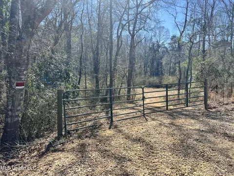 63 Clem Rd, Mount Olive, MS 39119 photo 6