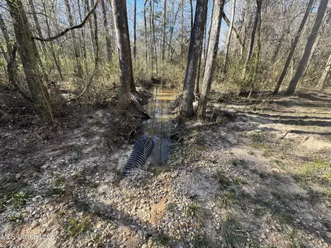 63 Clem Rd, Mount Olive, MS 39119 photo 22