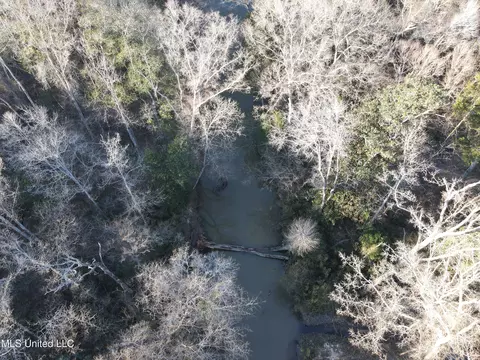 63 Clem Rd, Mount Olive, MS 39119 photo 47