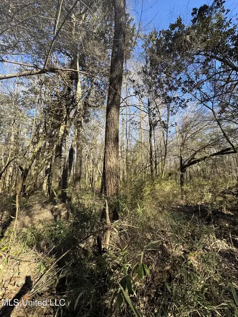63 Clem Rd, Mount Olive, MS 39119 photo 19