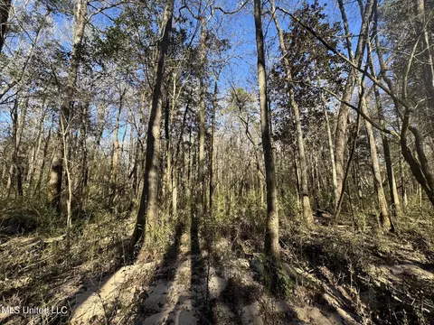 63 Clem Rd, Mount Olive, MS 39119 photo 20