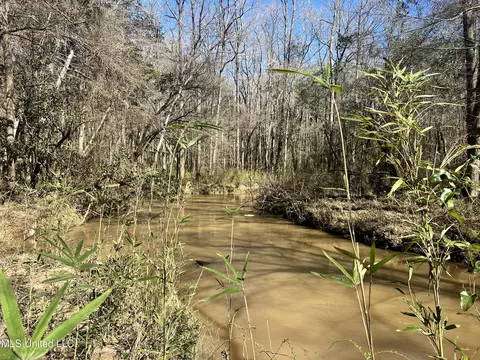63 Clem Rd, Mount Olive, MS 39119 photo 11