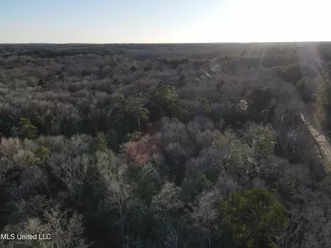 63 Clem Rd, Mount Olive, MS 39119 photo 53