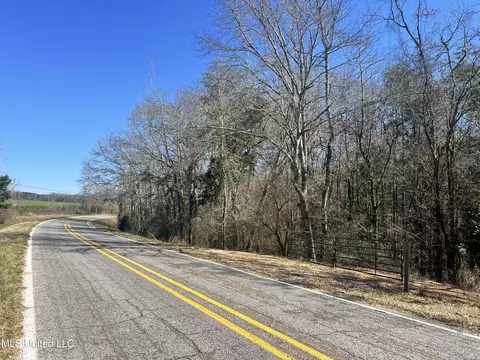 63 Clem Rd, Mount Olive, MS 39119 photo 5