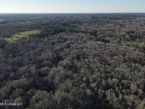 63 Clem Rd, Mount Olive, MS 39119 photo 32
