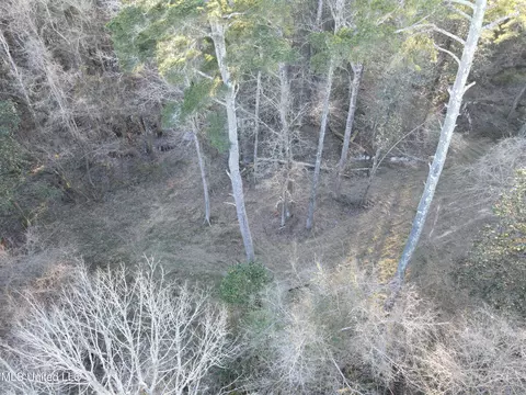 63 Clem Rd, Mount Olive, MS 39119 photo 55