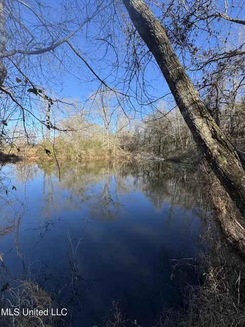 63 Clem Rd, Mount Olive, MS 39119 photo 26