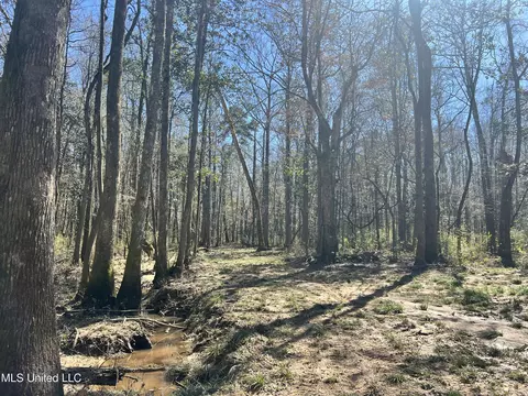 63 Clem Rd, Mount Olive, MS 39119 photo 10